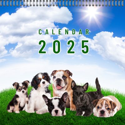 Calendar 2025 Puppy Gallery